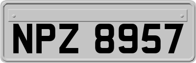NPZ8957