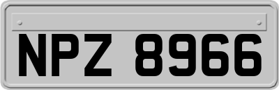 NPZ8966