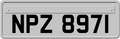 NPZ8971