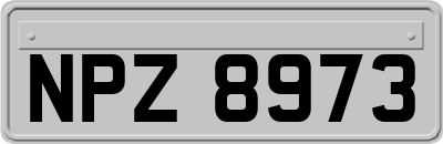 NPZ8973