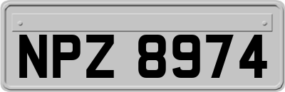 NPZ8974