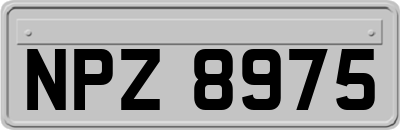 NPZ8975