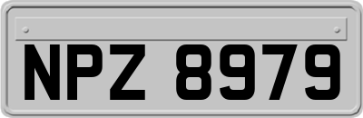 NPZ8979