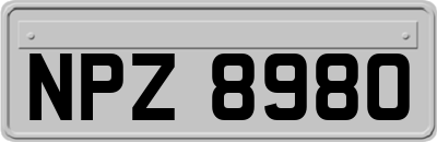 NPZ8980