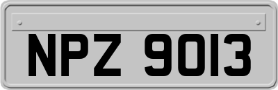 NPZ9013