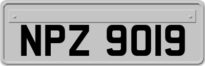 NPZ9019