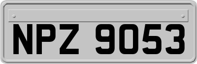 NPZ9053
