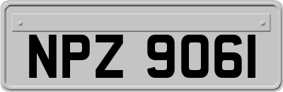 NPZ9061