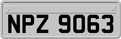 NPZ9063