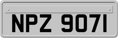 NPZ9071