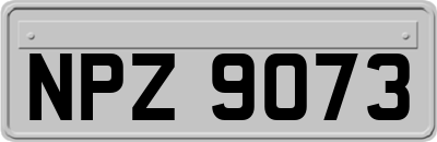 NPZ9073