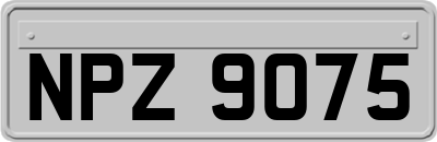 NPZ9075