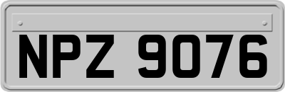 NPZ9076