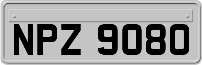 NPZ9080