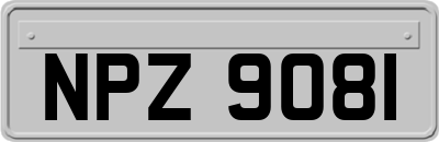 NPZ9081