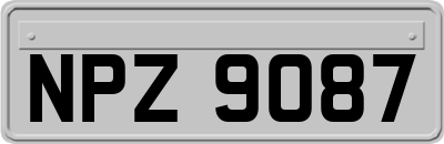 NPZ9087