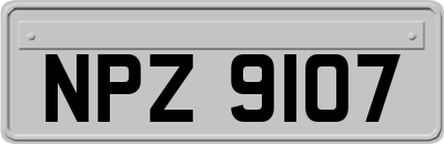 NPZ9107