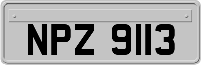 NPZ9113
