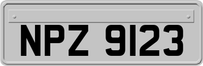 NPZ9123