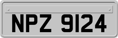 NPZ9124