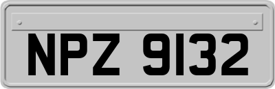 NPZ9132