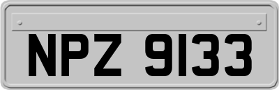 NPZ9133