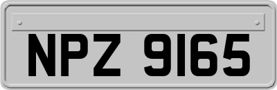 NPZ9165
