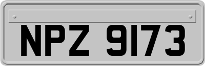 NPZ9173