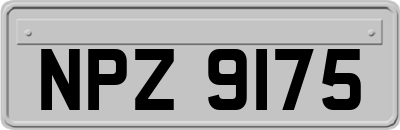 NPZ9175