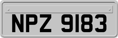 NPZ9183