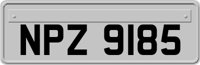 NPZ9185