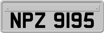 NPZ9195