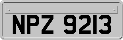 NPZ9213