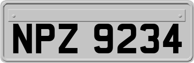 NPZ9234