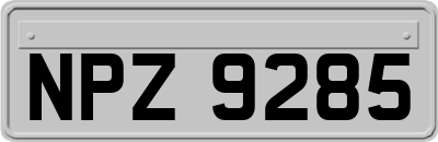 NPZ9285