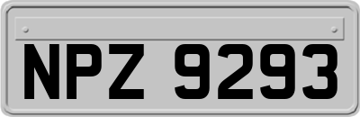 NPZ9293