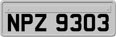 NPZ9303