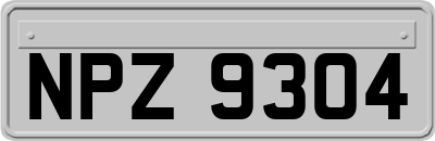 NPZ9304