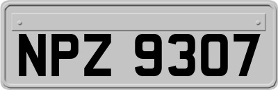 NPZ9307