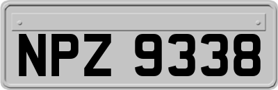 NPZ9338