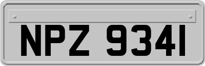 NPZ9341