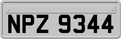 NPZ9344