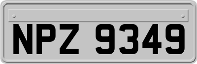 NPZ9349