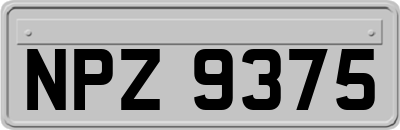 NPZ9375
