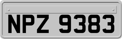 NPZ9383