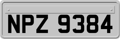 NPZ9384