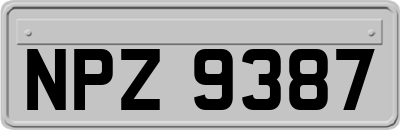 NPZ9387