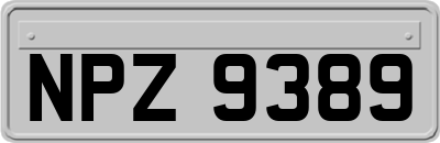 NPZ9389