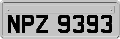 NPZ9393