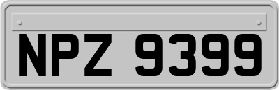 NPZ9399